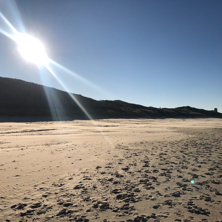 Sunny dunes and beach landscape in Zeeland Netherlands