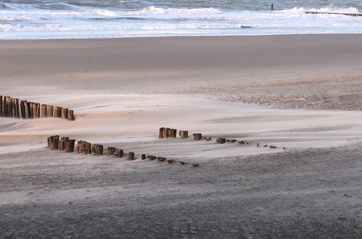 Wooden groynes on a wide Zeeland beach